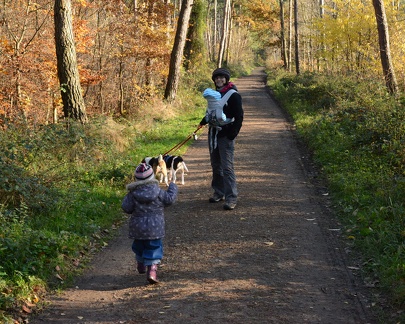 family walk in the Viernheimer Wald1